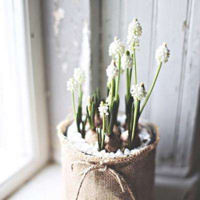 亚博app体育截图