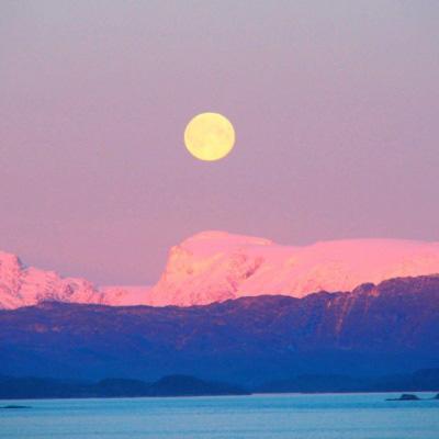 乐发lv最新版本下载截图