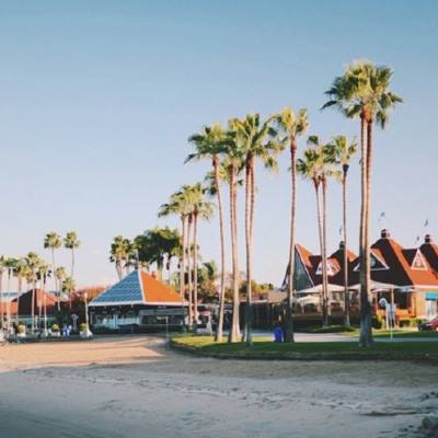 任你博手机app下载