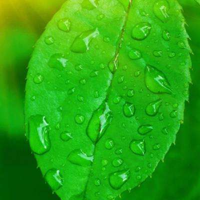 beplayapp下载登录·官方网站